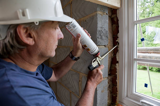 Best Geographic-Specific Insulation Services in Ely, IA